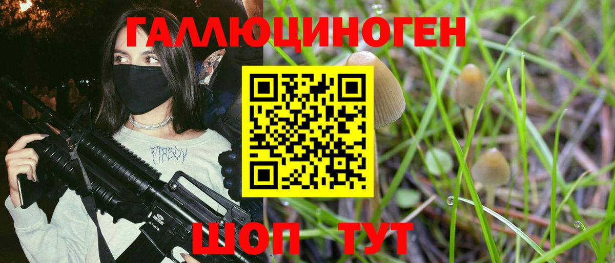 Галлюциногенные грибы Psilocybine cubensis Азов